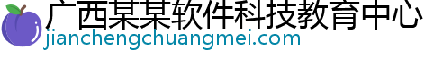 广西某某软件科技教育中心